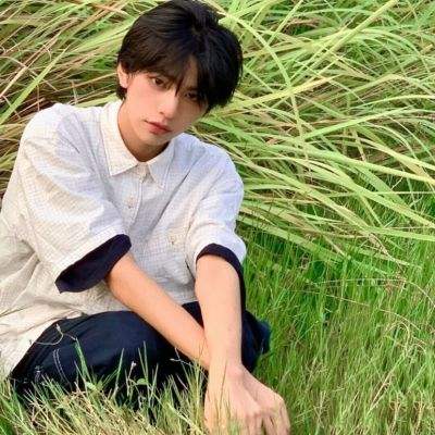 pg电子·模拟器(试玩游戏)手机app下载